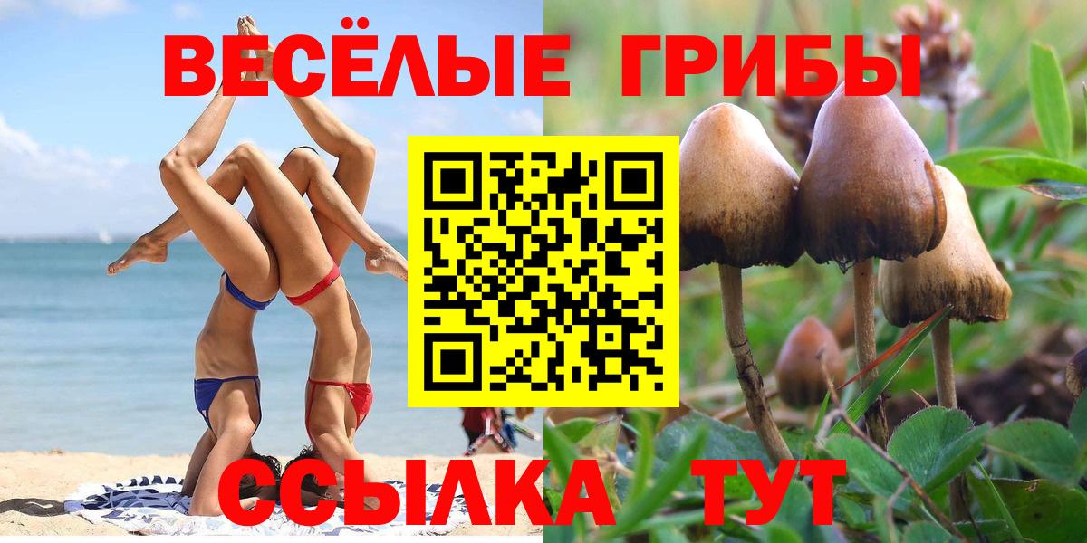 Карачаевск  Псилоцибиновые грибы мицелий  Вход с VPN 